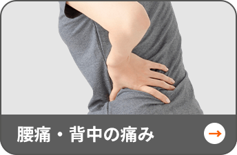 腰痛・背中の痛み